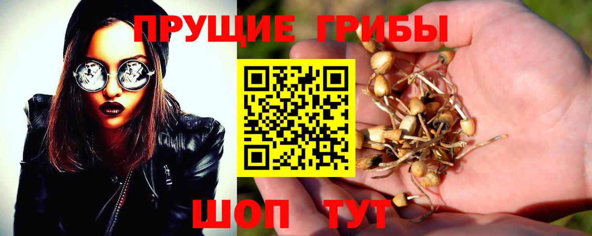 Галлюциногенные грибы ЛСД  Псилоцибиновые грибы мухоморы  Свободный  Вход с VPN 